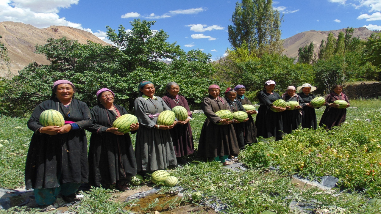 Watermelon crop group farming in Takmachik